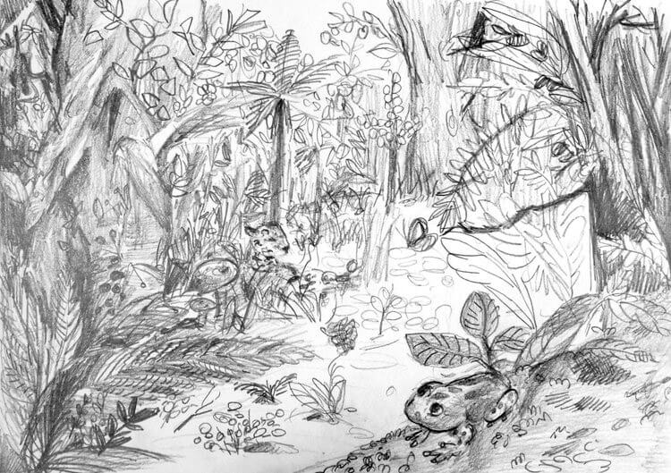Black and white drawing of a rainforest