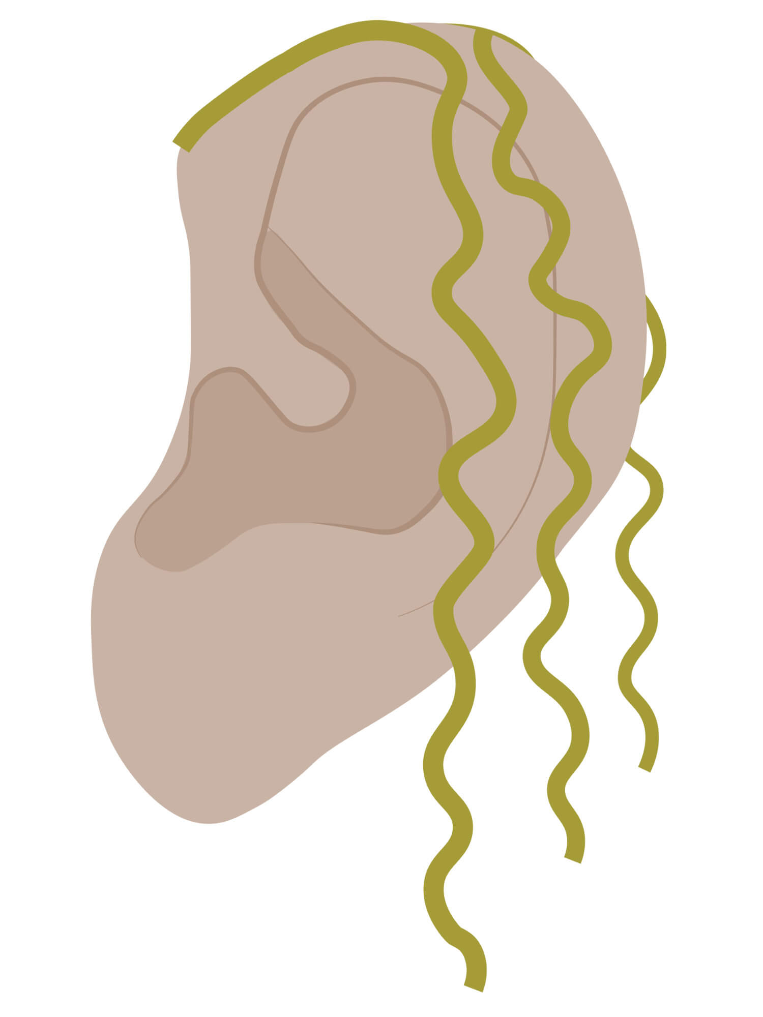 Illustrated ear with noodles on